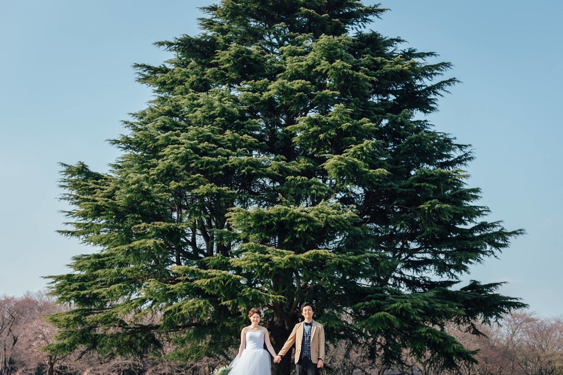 Rocographyが撮影した写真のアルバム「Prewedding / Tokyo」