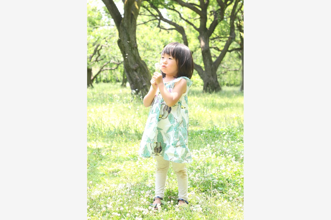 森安　照が撮影した「幼児、子供、赤ちゃん」の写真