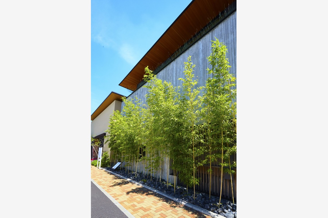 AONO STUDIOが撮影した「料理」の写真