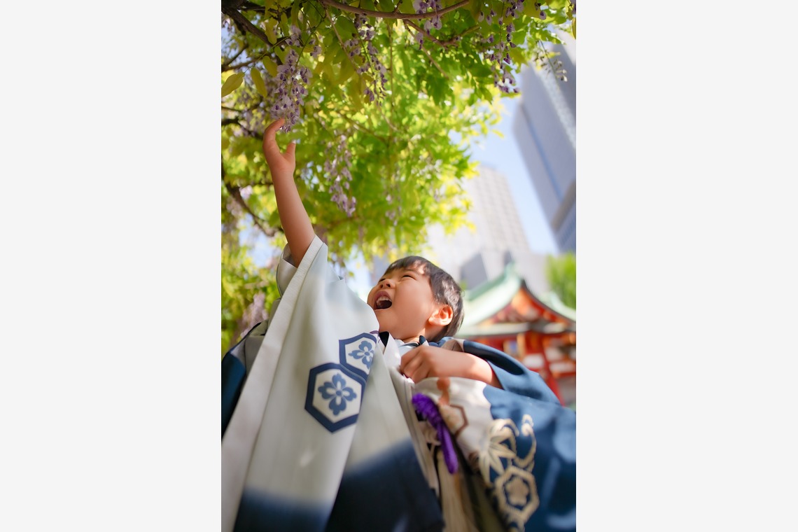 THALISHが撮影した「七五三@日枝神社」の写真