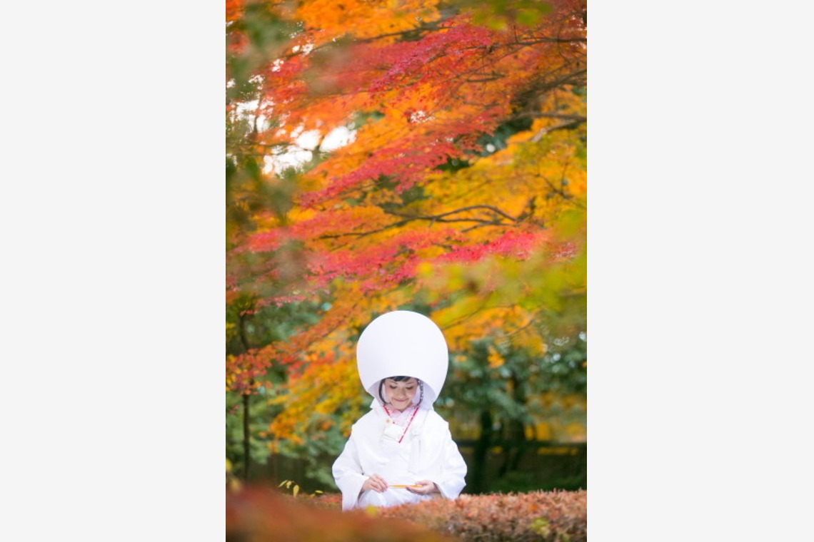 ピュアアーティス(小島 靖雄)が撮影した「その他フォト」の写真