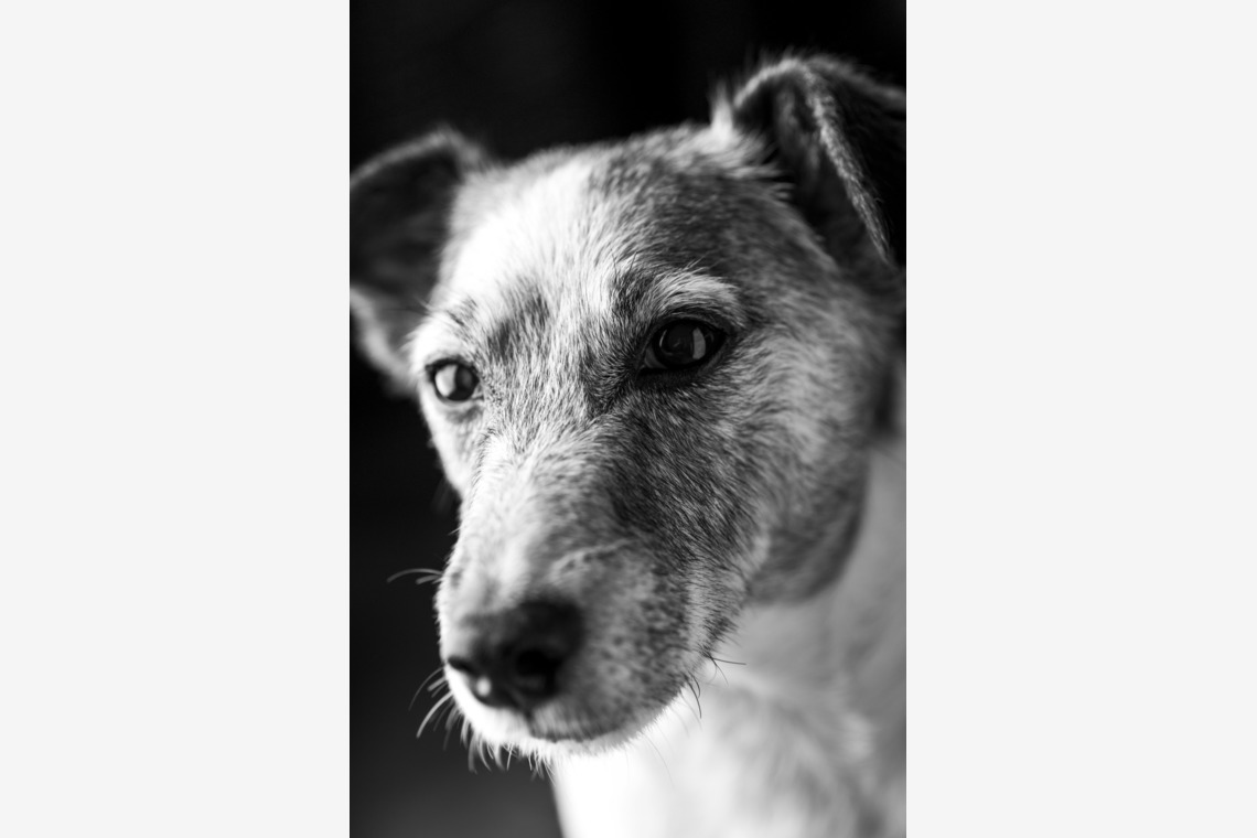 fotograz photography