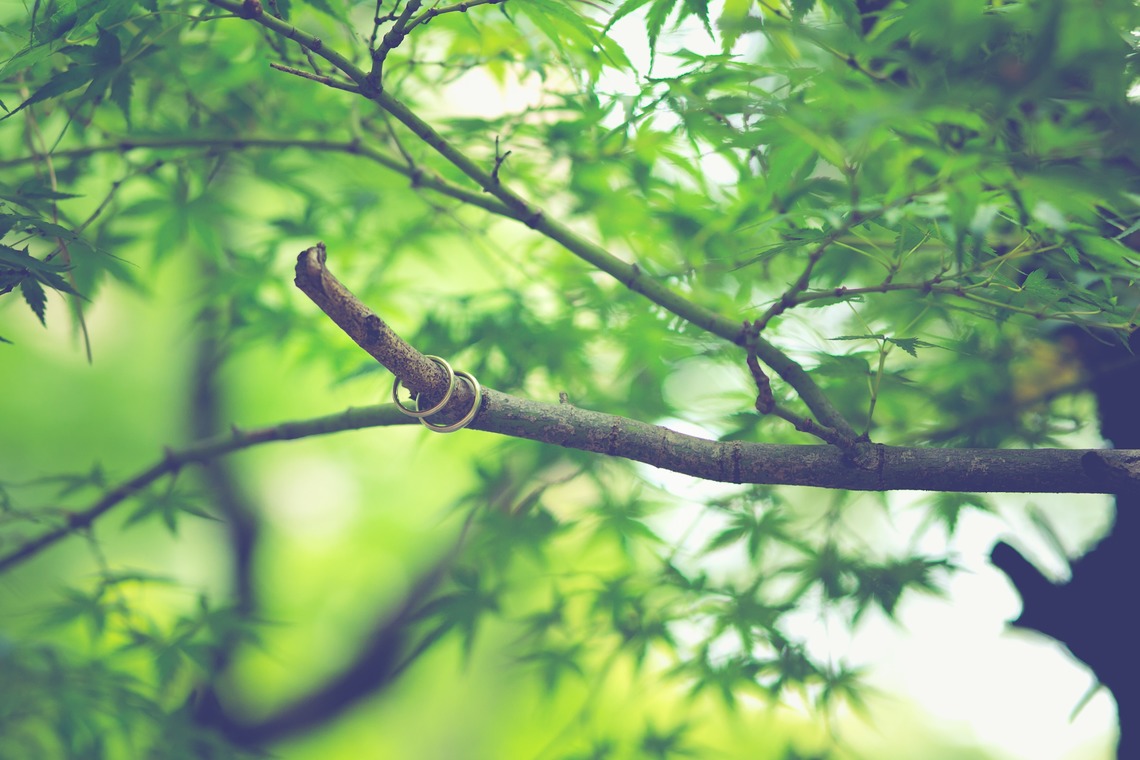 Feel So High! Kenichi Morinaga photography（森永 健一）が撮影した「結婚披露宴フォトギャラリー」の写真