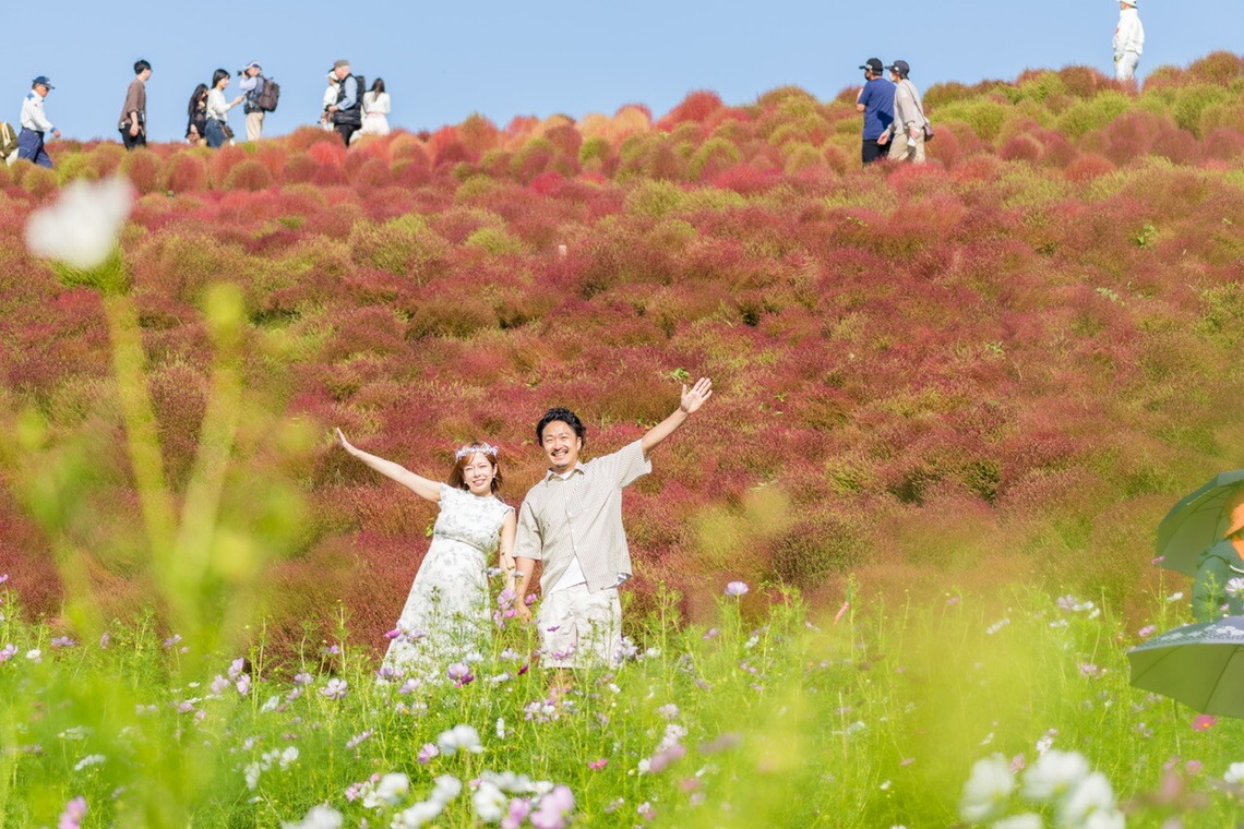 パッチー・クリエイツ