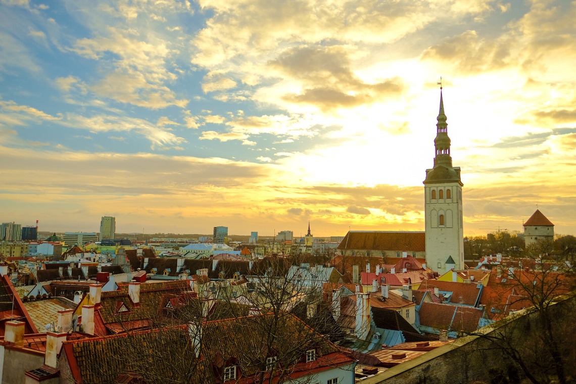 杉本 周平が撮影した「動物・ペット・風景」の写真