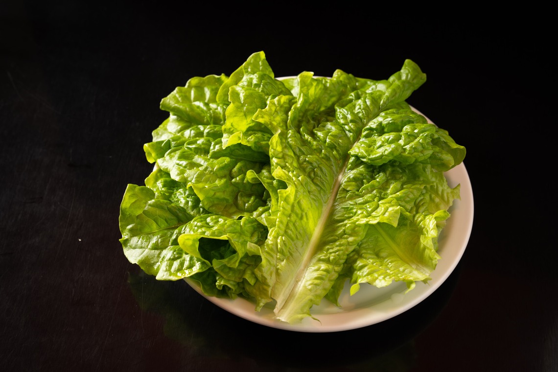 木村写真館が撮影した「料理撮影」の写真