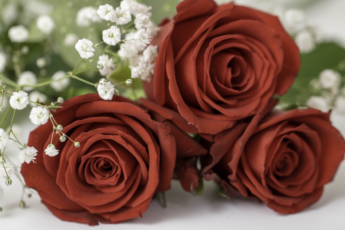 ミヤタカズコが撮影した写真のアルバム「花のある生活」