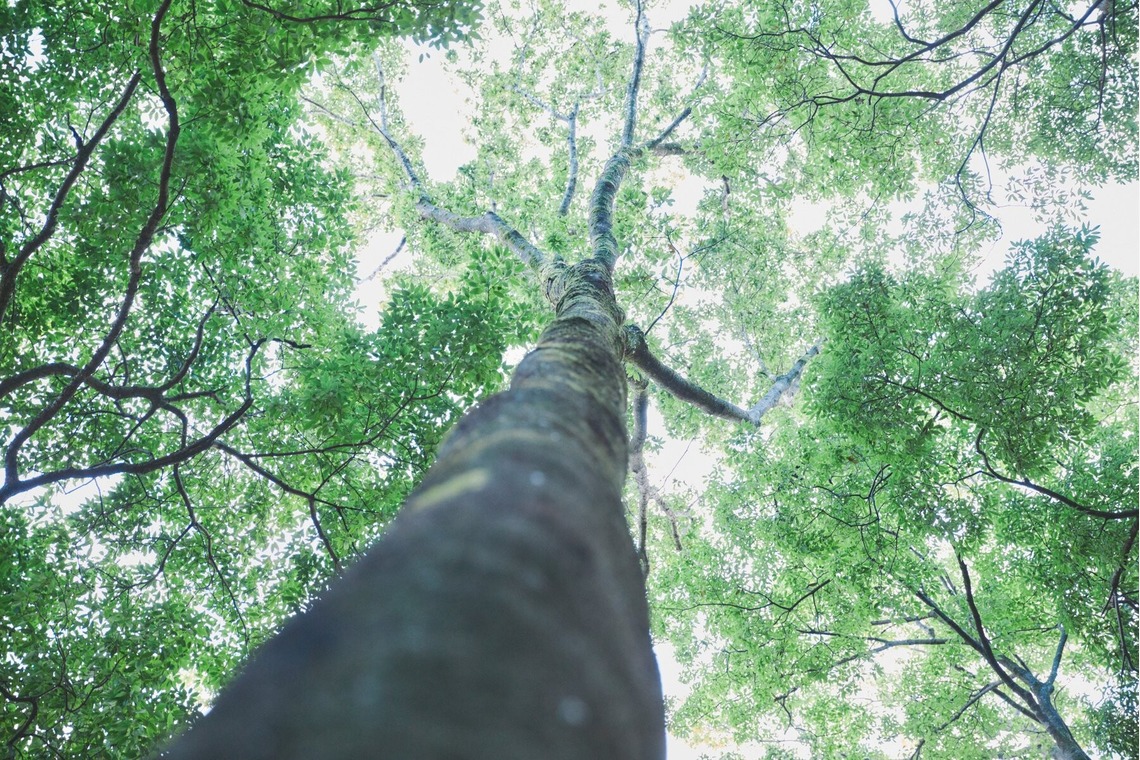 Shun Kanazawaが撮影した「Life Style」の写真