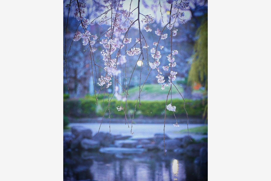 長崎 翔太が撮影した写真のアルバム「空間サンプル」