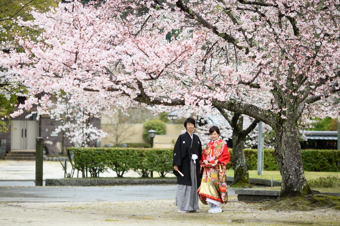 KIKIウェディングが撮影した写真のアルバム「錦帯橋」