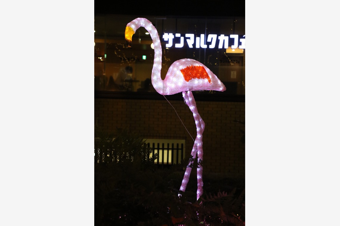 ＮＫ フォトエージェンシーが撮影した「建物・風景写真③(多摩センター駅前イルミネーション）」の写真