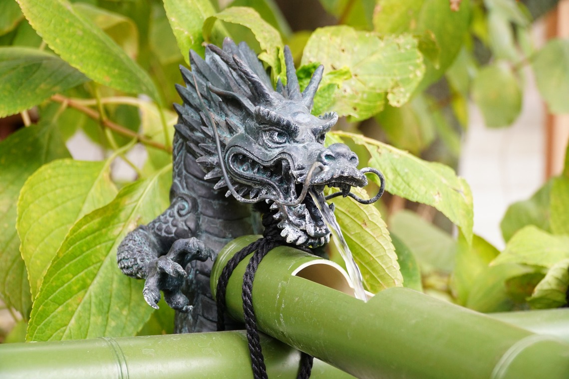 出張撮影のメモリーズが撮影した「nature-アラカルト」の写真