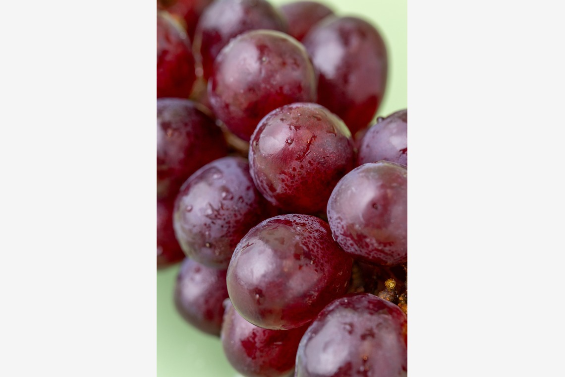 Hiroが撮影した「スタジオ、出張撮影」の写真