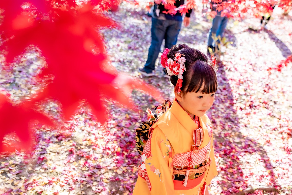 出張カメラマンのY's Officeが撮影した写真のアルバム「七五三出張撮影」