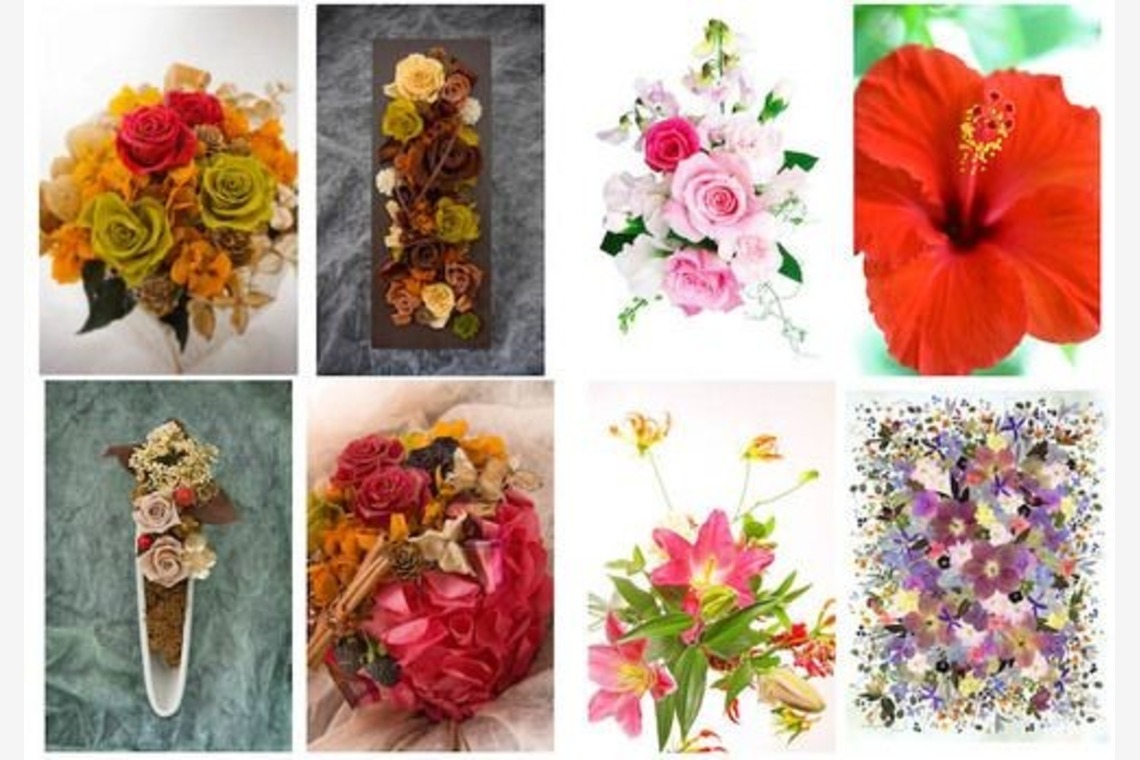 オーロラスタジオが撮影した「作例」の写真