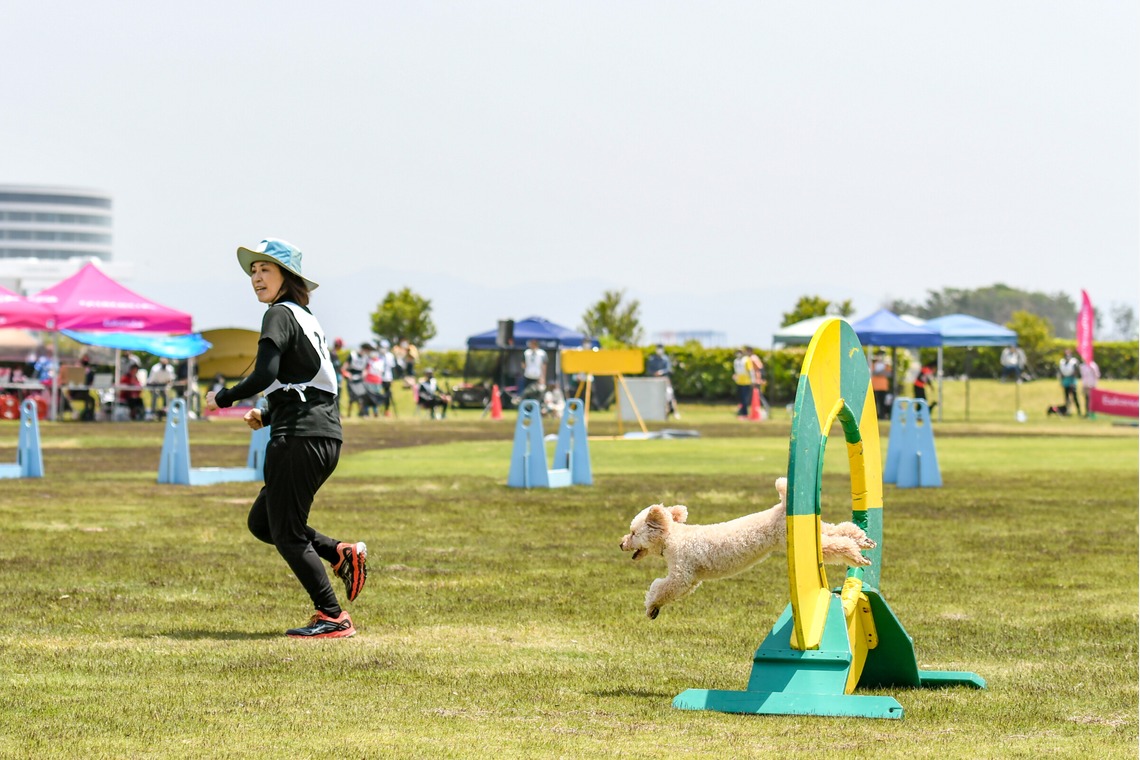 スタジオファンタスが撮影した「ドッグスポーツエクストリーム」の写真