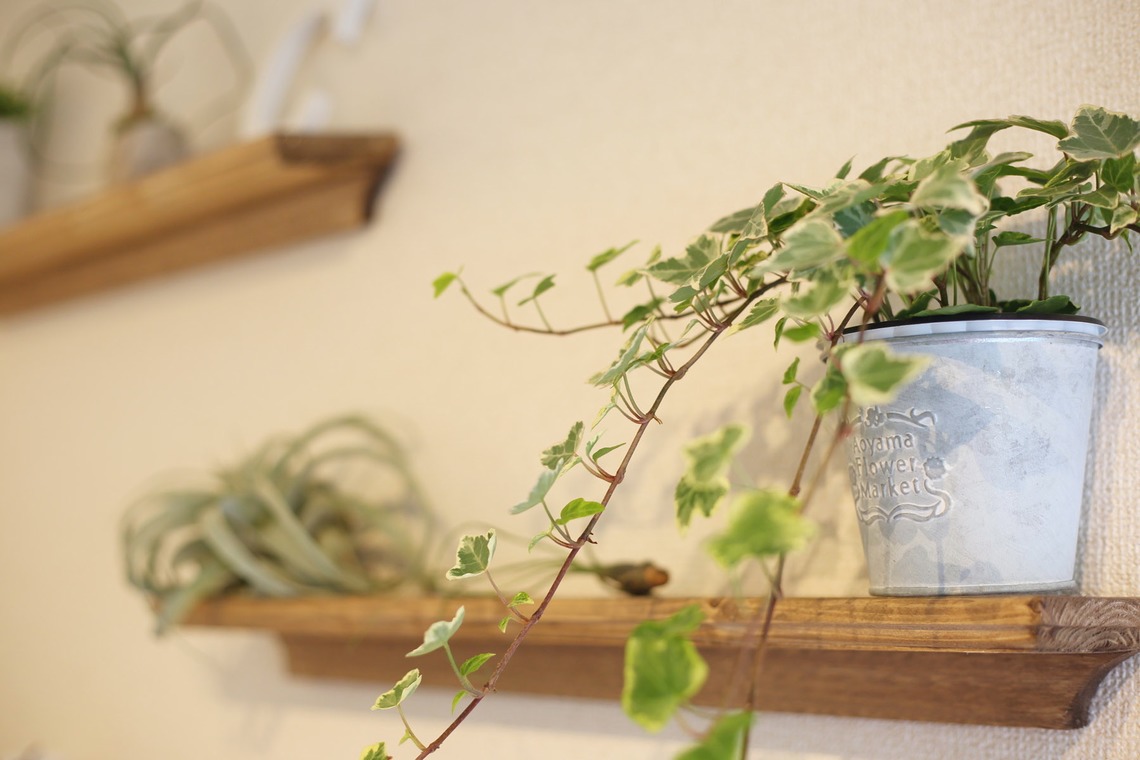 谷崎 春彦（T-Studio）が撮影した「ヘアー/エステ/ネイル/マツエク/サロン」の写真