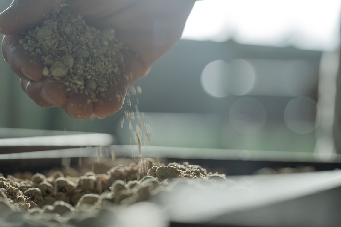 小田映像制作事務所が撮影した写真のアルバム「金芳醤油釀造元」