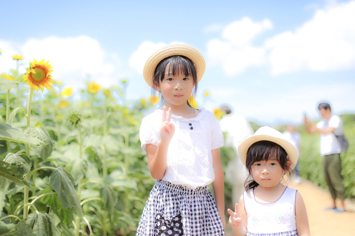宮部が撮影した写真のアルバム「ひまわり畑でキッズフォト」