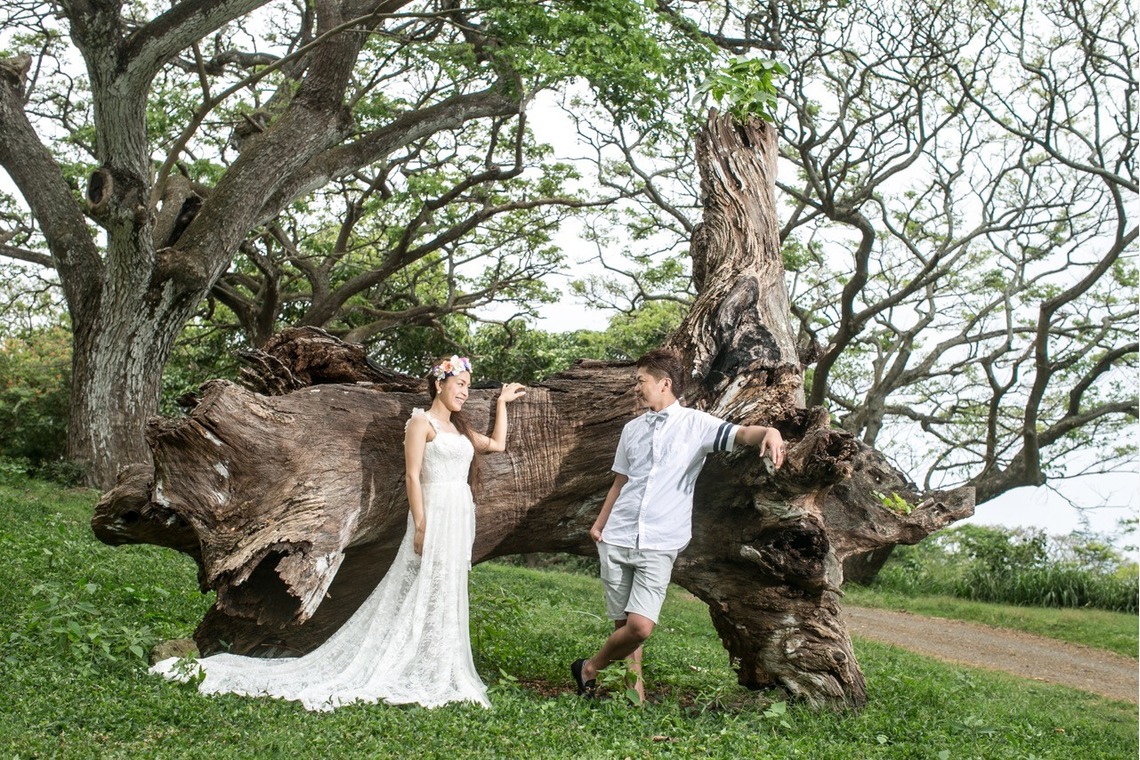 2cconcept (梅田福夫)が撮影した「フォトギャラリー」の写真