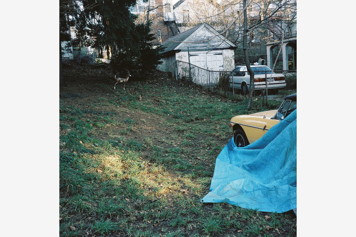 森田寫眞館が撮影した「N.Y」の写真