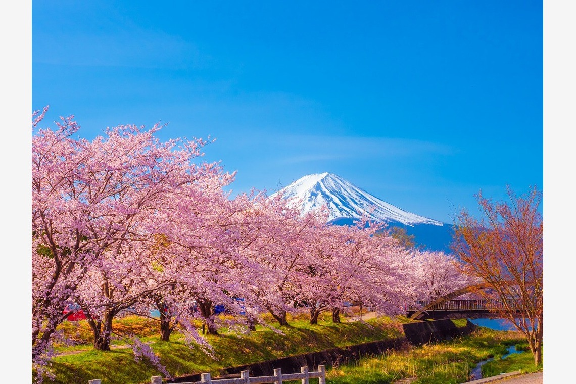 レオン・スナップサービスが撮影した旅行先の記念撮影のアルバム「富士山」