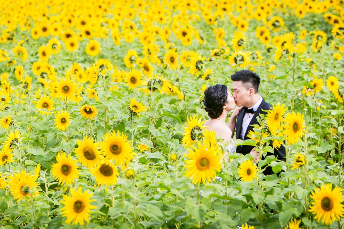 fotoShisa Photography（ピートリオン）が撮影した写真のアルバム「フォトギャラリー」