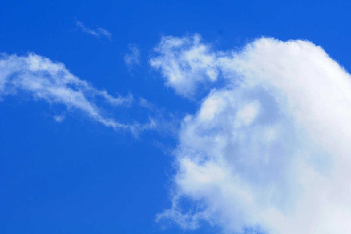 広沢写真事務所が撮影した写真のアルバム「野球」