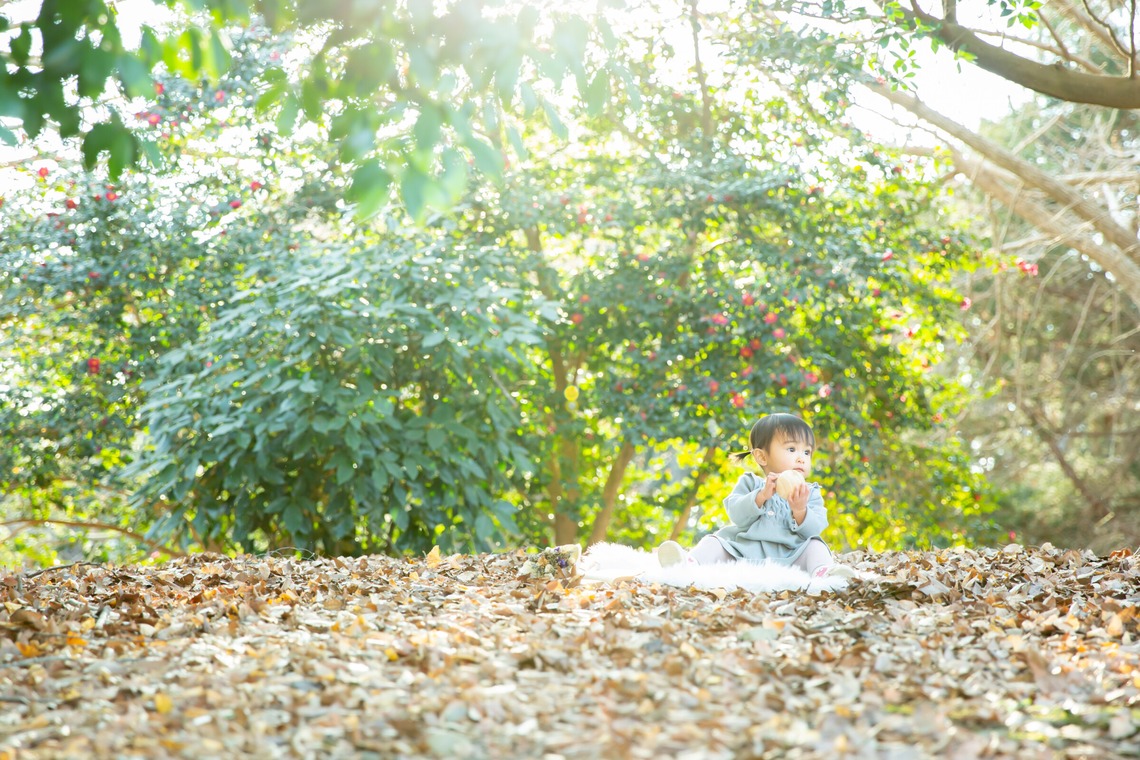 今泉秀樹が出張撮影した家族写真(キッズ,ベビーフォト)などが写った「昭和記念公園」の家族写真