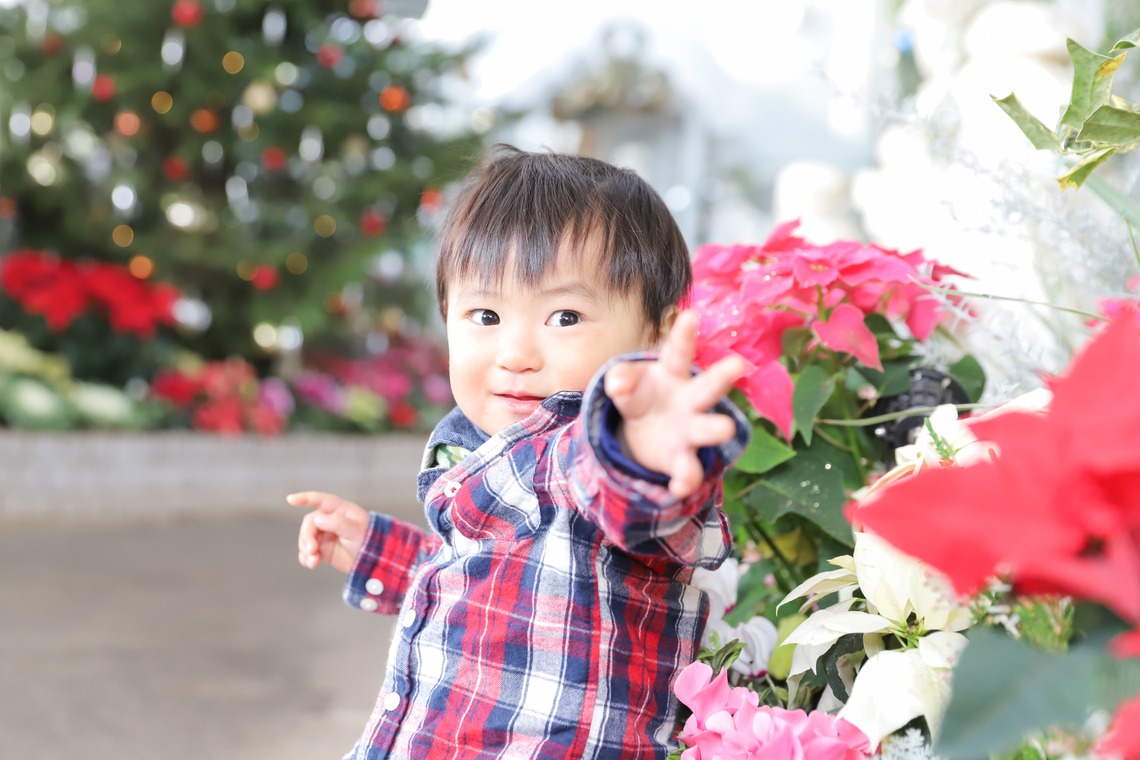 斉藤　ゆか（nico photo)が撮影した写真のアルバム「ロケーション撮影」