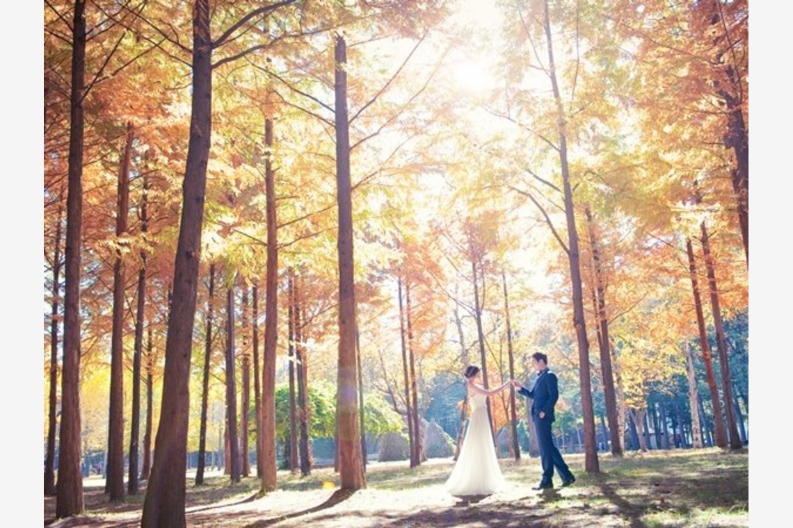 Wedding Howl (スタジオハウル)が撮影した「スナップ」の写真