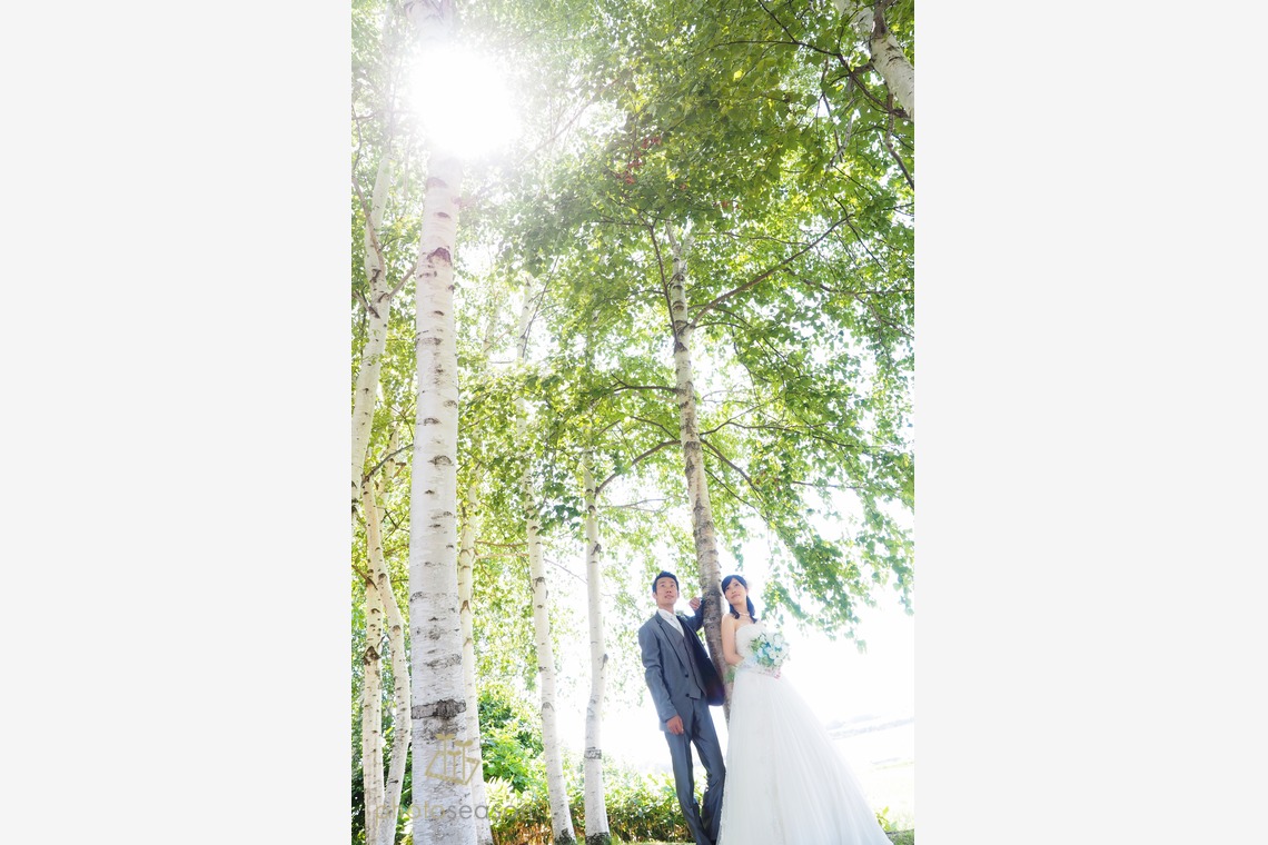 株式会社フォトシーズン