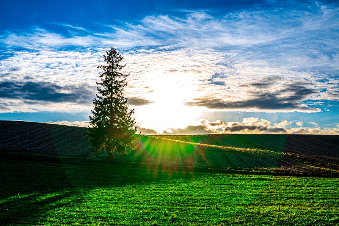 高木勇斗が撮影した「風景　物撮り」の写真