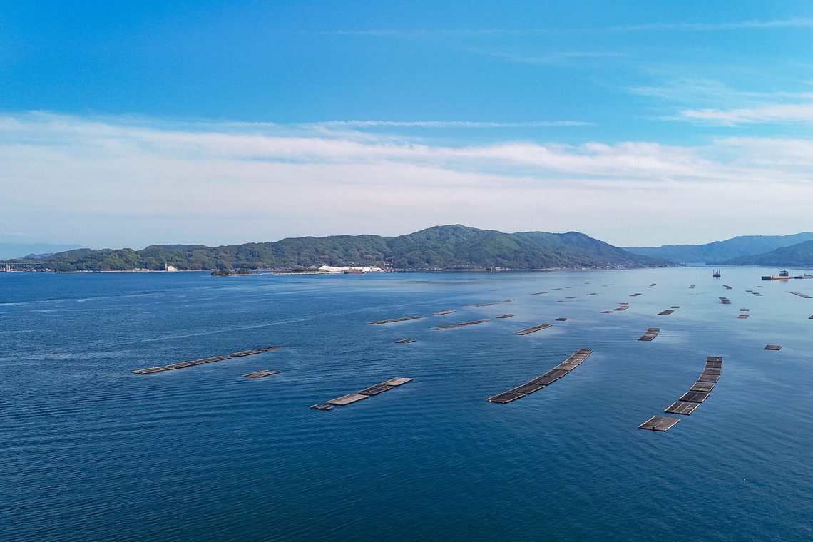 心綴フィルムが撮影した「民泊施設の宣材写真②」の写真