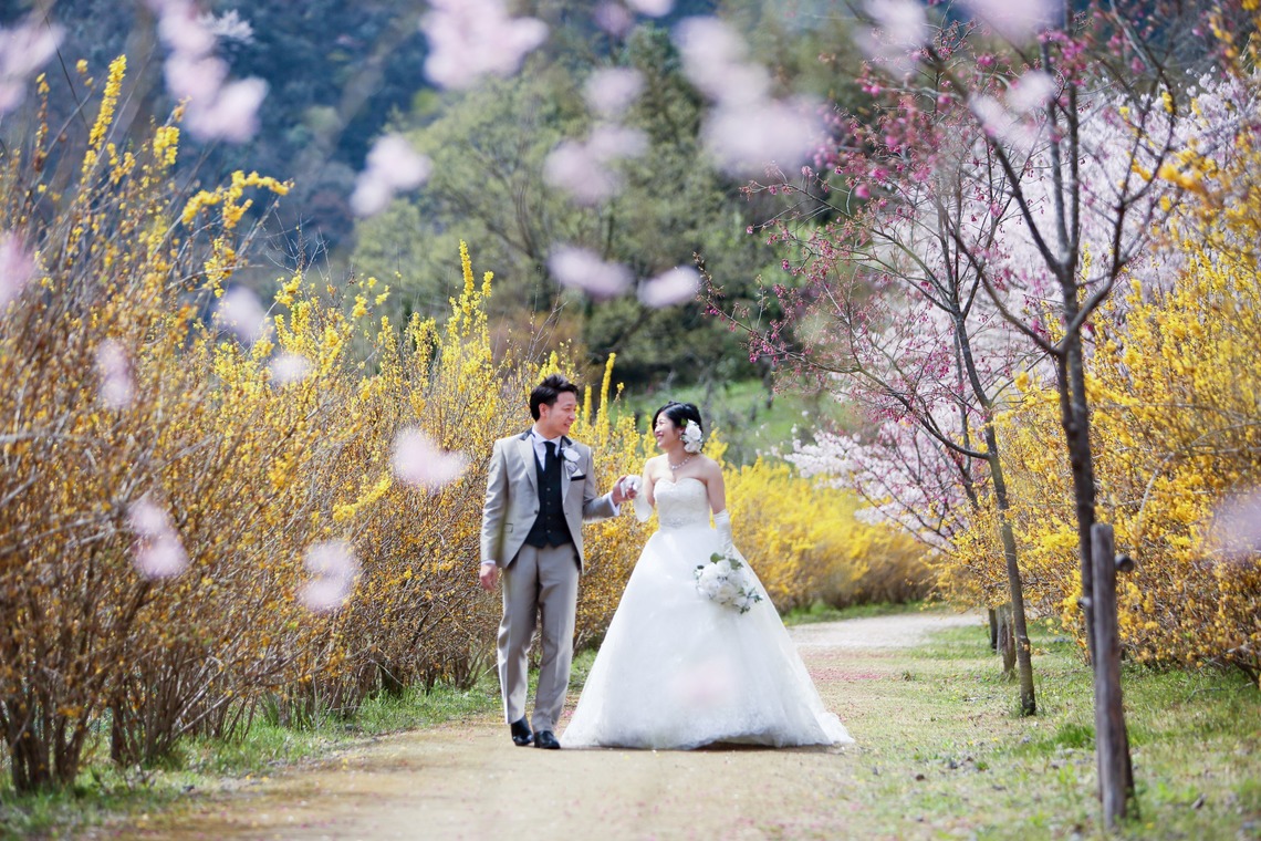 KIKIウェディングが撮影した写真のアルバム「花の駅公園」