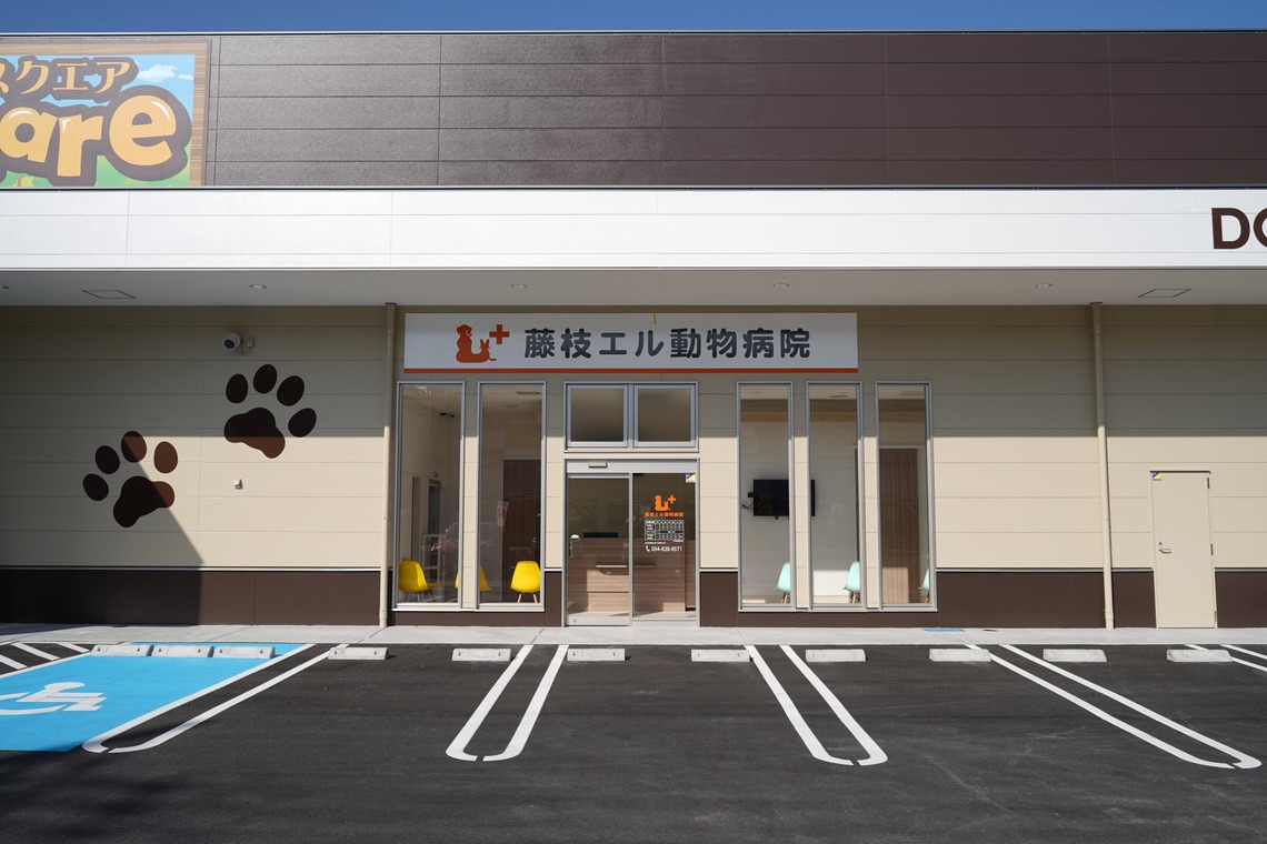 出張撮影くろめっとが撮影した「部屋、建物、風景などを撮影した写真」の写真