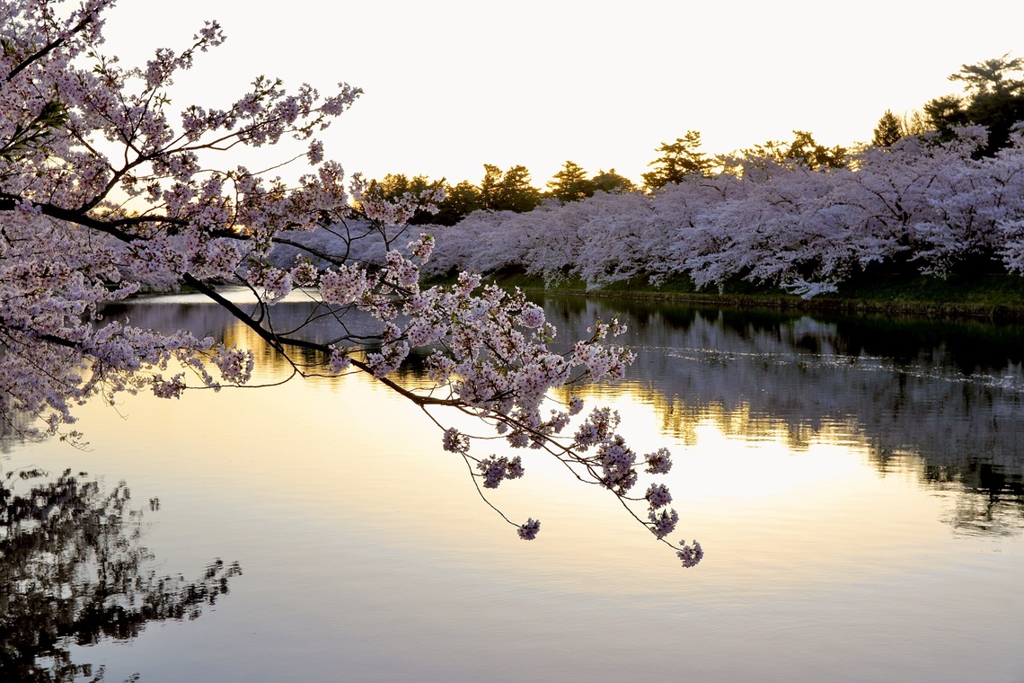 TATEZOUが撮影した写真のアルバム「風景写真」