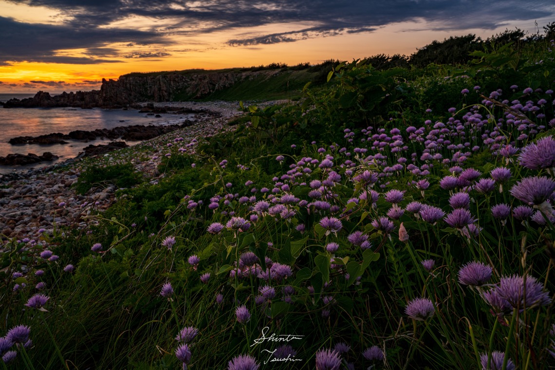 Shintaro Tsushimaが撮影した写真のアルバム「風景」