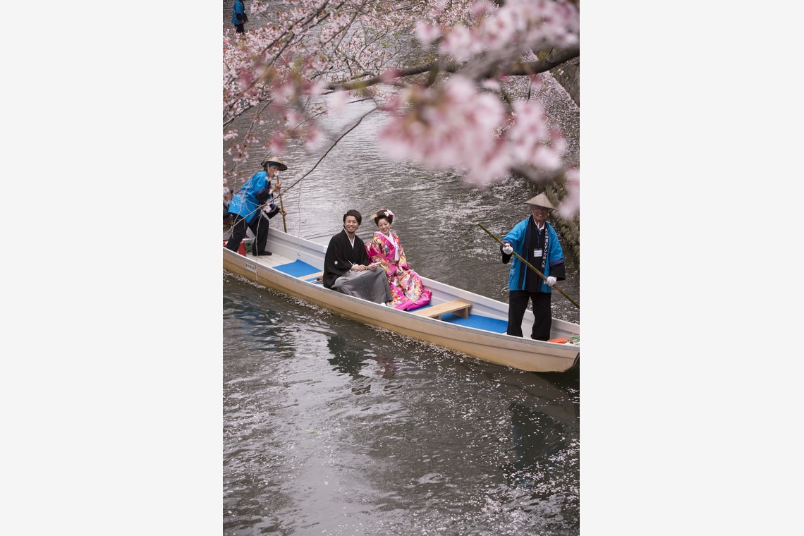 Photo of  taken by STUDIO NOUVEAU