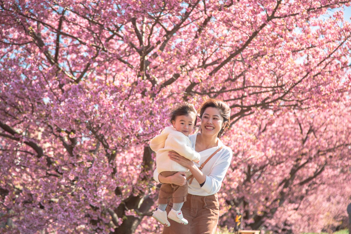 ゆのみふぉとが撮影した「桜とお写真」の写真