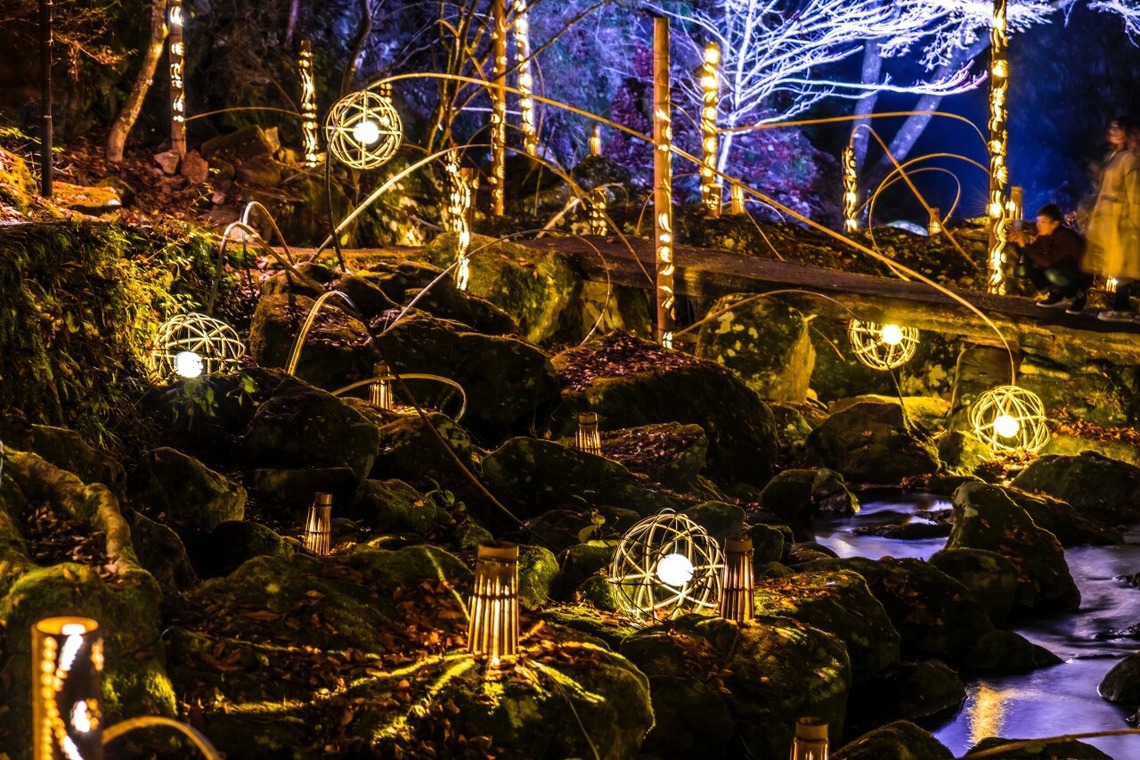 リトルダイナソーが撮影した「風景」の写真