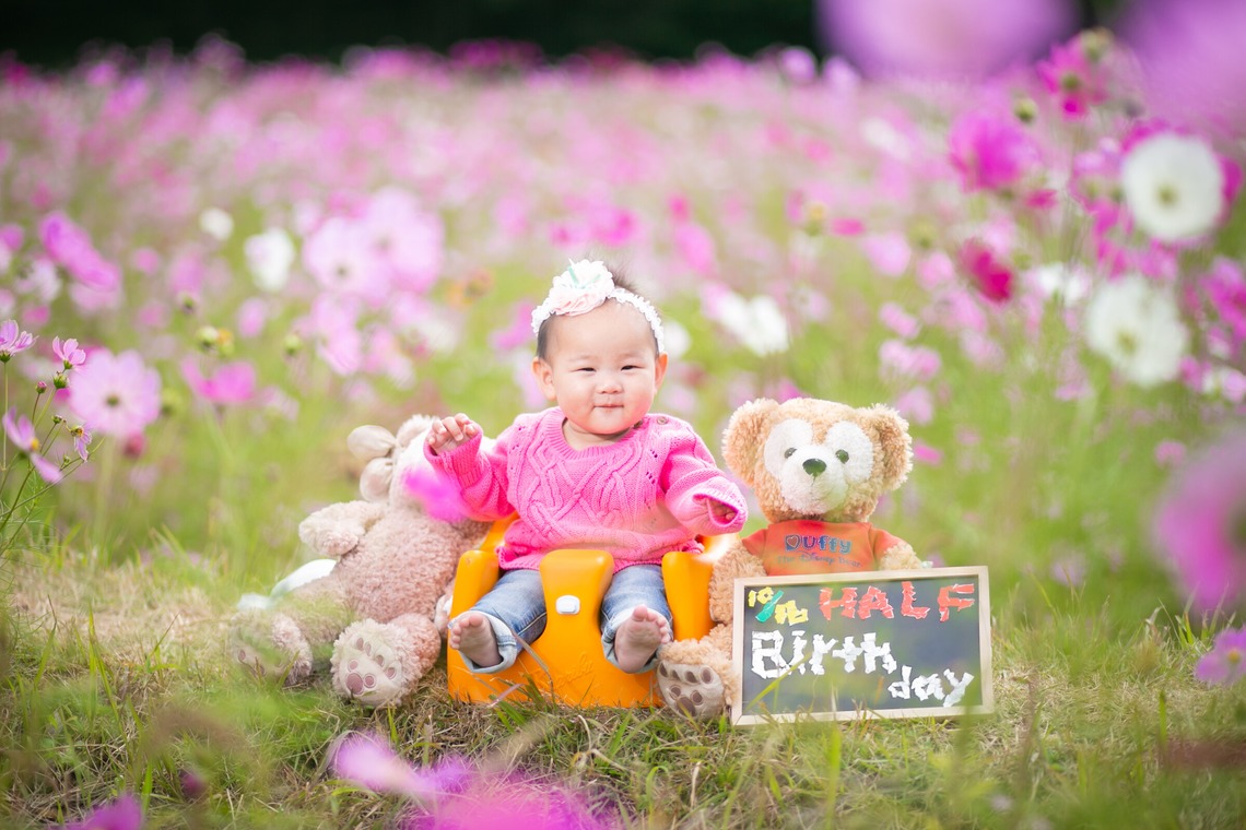酒井大輔が撮影した「七五三撮影、家族写真」の写真