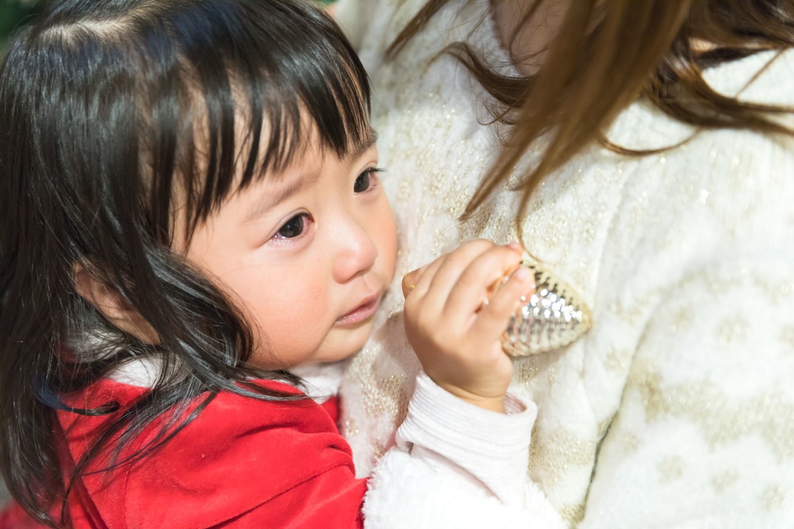 髙栁豪志が撮影した「クリスマス撮影会」の写真