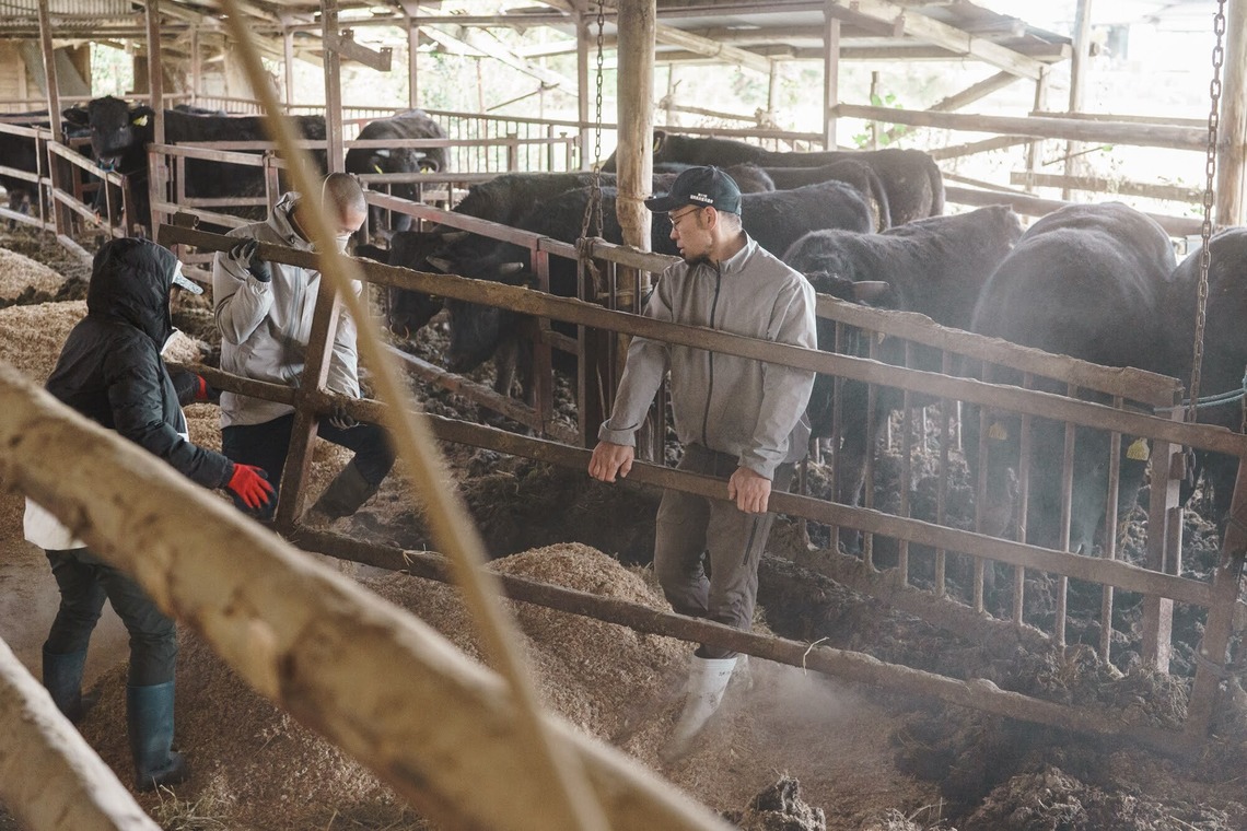 studio cactusが撮影した「農家 - 風景／人物／牛」の写真
