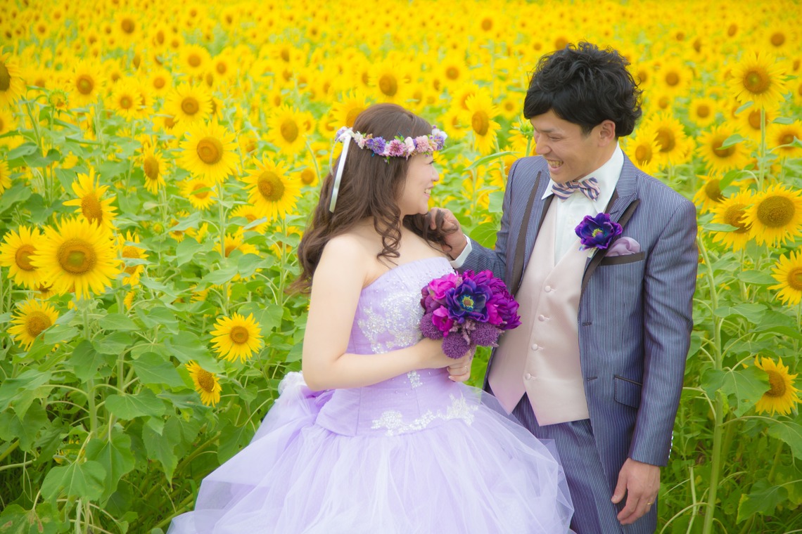 阿部写真館　徳島本店（北原 慎也）が撮影した写真のアルバム「ひまわり　菜の花ロケーションフォト」