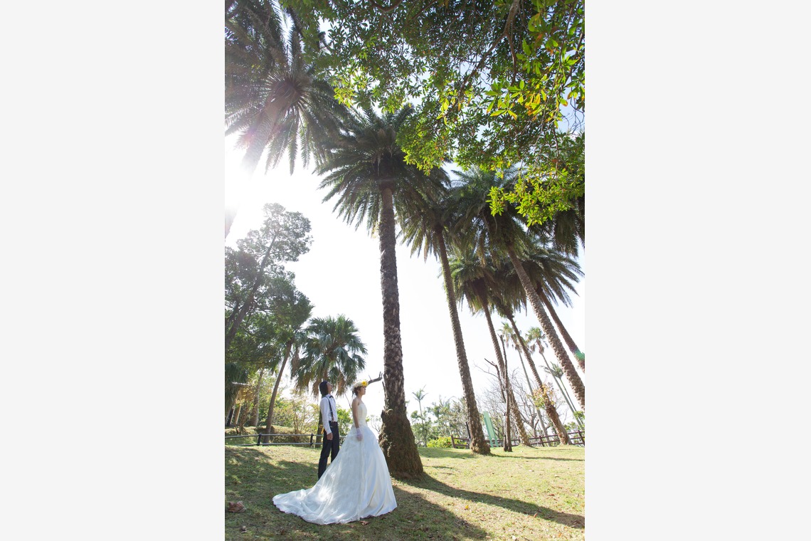 ウエディングラウンジが撮影した写真のアルバム「アマゾンガーデンフォト沖縄」