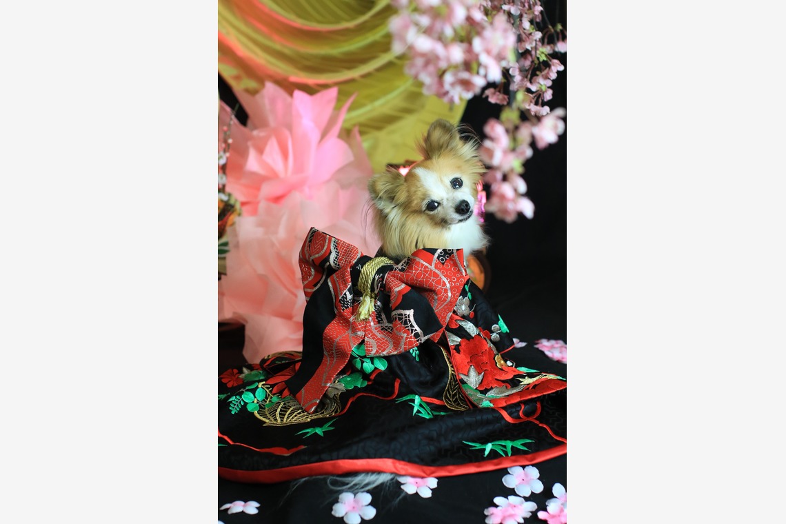 高橋 透（Coo&Sea STUDIO代表）が出張撮影した家族写真(キッズ,ベビーフォト)などが写った「お正月撮影会2020@新横浜Coo&Sea STUDIO」の家族写真