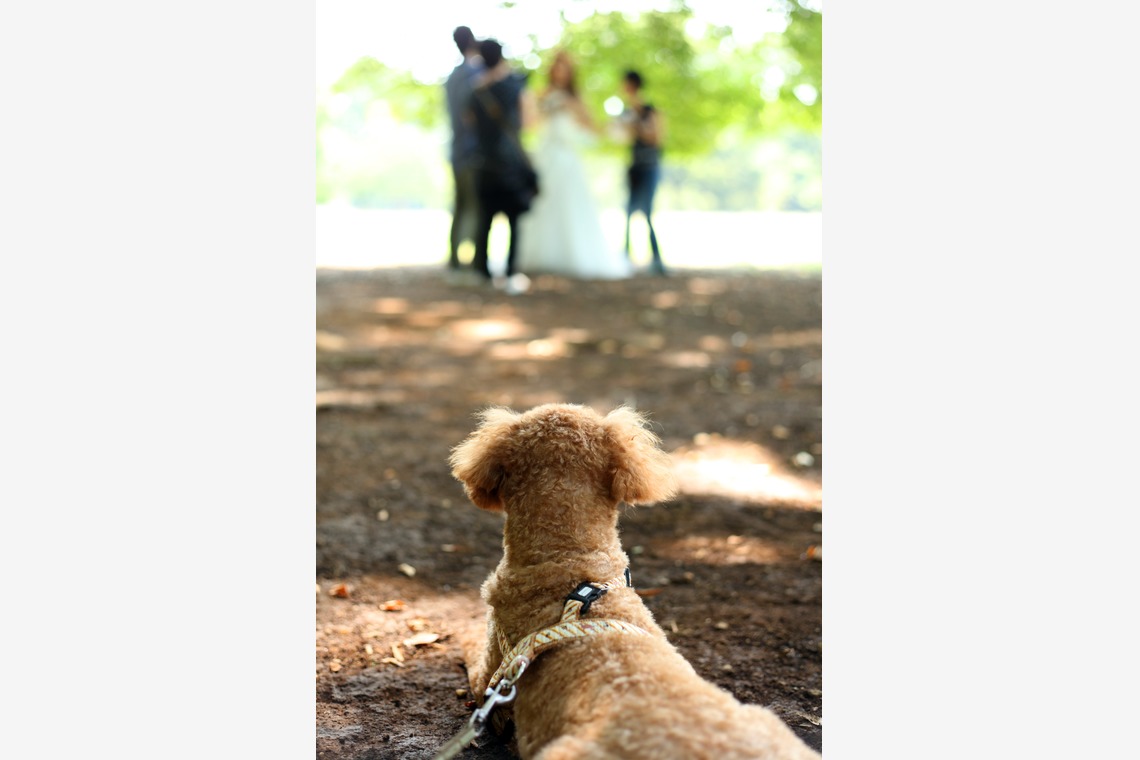 ほんとうにかわいい結婚写真ecoo（エクー）が撮影した「ロケーション/洋装」の写真