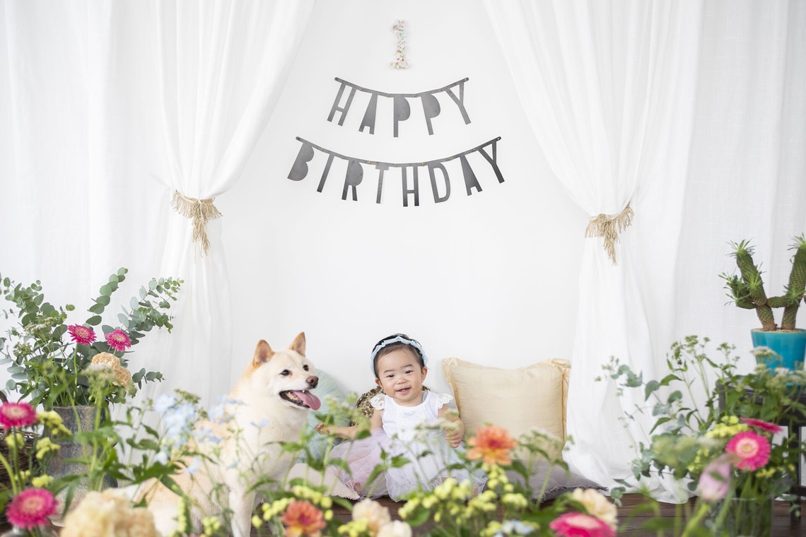 Hamuこども写真館が撮影した写真のアルバム「スタジオ撮影　」