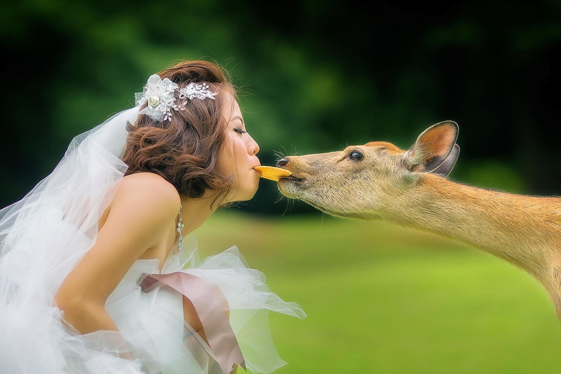 2 of usが撮影した「photo @ Kyoto」の写真